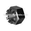 CNC machine shop for produce hex slotted and castle nut